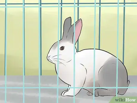 Image titled Prevent Poisoning in Pet Rabbits Step 4