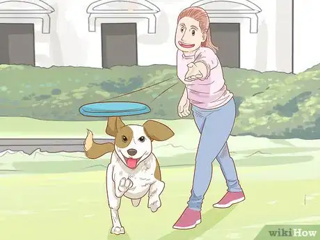 Image titled Stop a Dog from Pawing Step 10