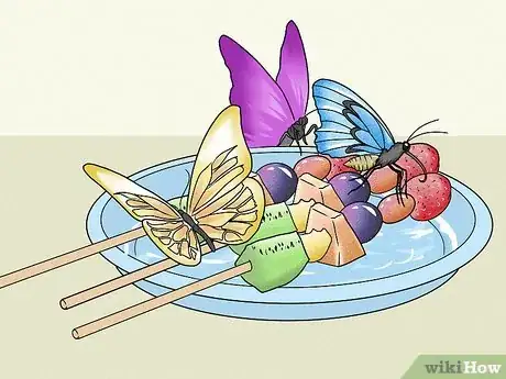 Image titled Make a Butterfly Feeder Step 14