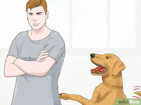 Image titled Meet Someone's New Dog Step 11