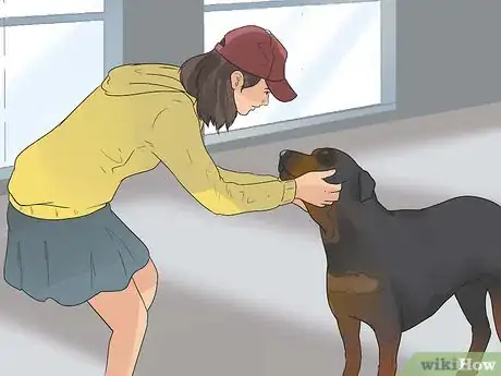 Image titled Care for Rottweilers Step 17