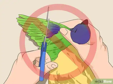 Image titled Groom Lories and Lorikeets Step 16