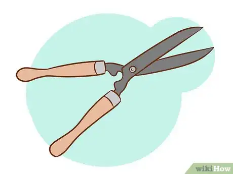 Image titled Get Rid of Poison Ivy Step 4