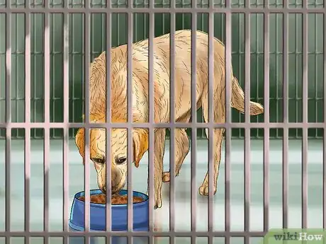 Image titled Housebreak a Dog Using a Crate Step 6