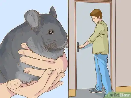 Image titled Clean a Chinchilla Cage Step 2