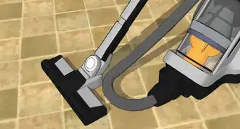 Get Rid of Silverfish