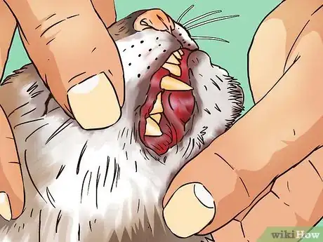 Image titled Take Care of Your Aging Cat Step 13