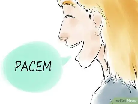 Image titled Say Peace in Latin Step 6