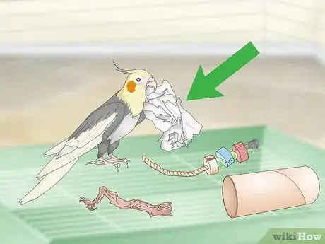 Image titled Entertain a Cockatiel Step 1