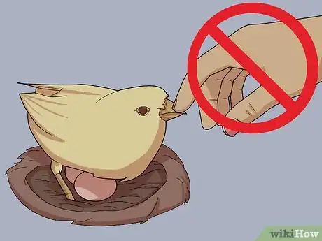 Image titled Monitor Nestboxes Step 7