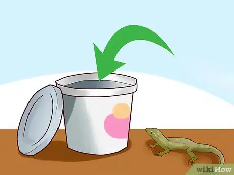 Image titled Catch a Lizard in the House Step 6