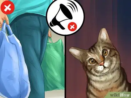 Image titled Act When Meeting a Strange Cat Step 1