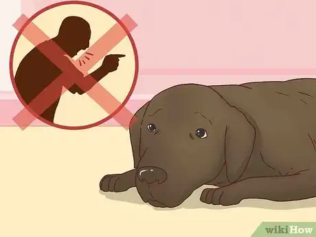 Image titled Be Patient with Your Dog Step 3