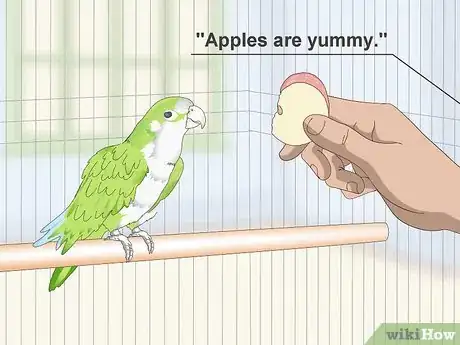 Image titled Teach a Quaker Parrot to Speak Step 8
