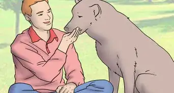 Adopt a Dog from a Breed Rescue