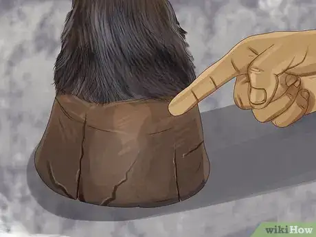 Image titled Know if Your Horse Needs Shoes Step 7