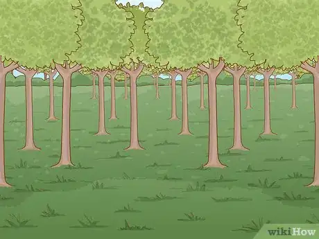 Image titled Start a Tree Farm Step 1