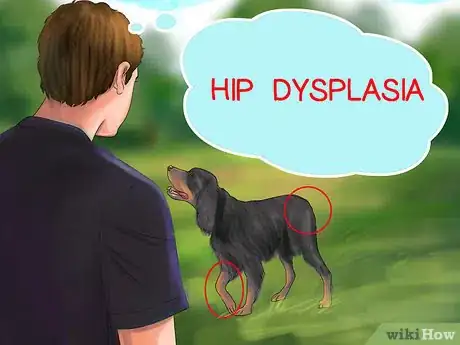 Image titled Care for an Irish Setter Step 7