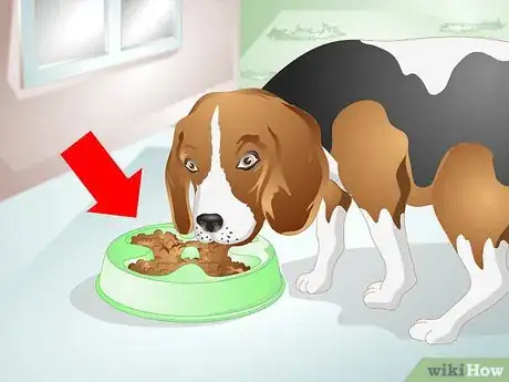 Image titled Reduce Flatulence in Dogs Step 8