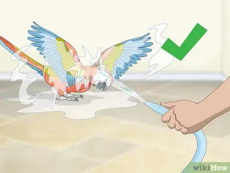 Image titled Treat Allergies in Macaws Step 4
