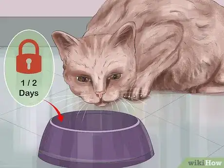 Image titled Capture an Angry or Upset Cat Step 20