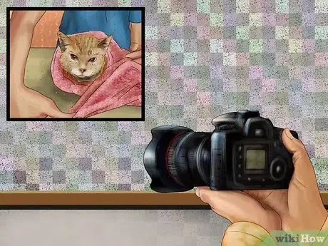 Image titled Photograph Your Cat's Symptoms for the Vet Step 3