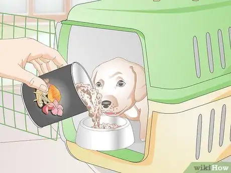 Image titled Crate Train a Small Dog Step 5