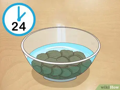 Image titled Plant Angel Trumpet Seeds Step 2