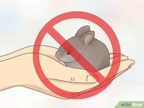 Image titled Care for a Baby Wild Rabbit Step 19