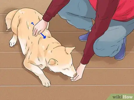 Image titled Help a Reactive Dog Relax Around Food Step 14