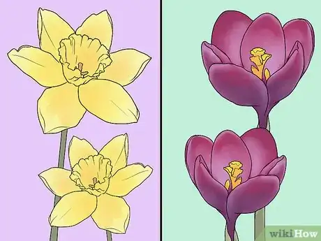 Image titled Plant Bulbs in Grass Step 5