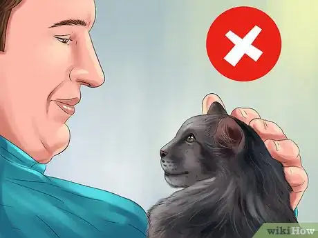Image titled Act When Meeting a Strange Cat Step 3