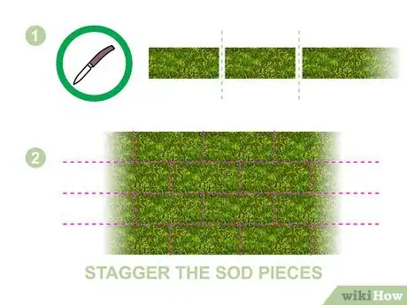 Image titled Grow Centipede Grass Step 14