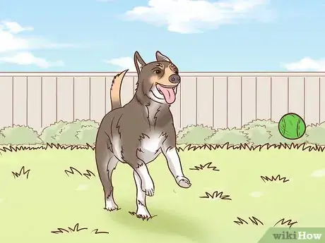 Image titled Make a Rat Terrier Warmer Step 11