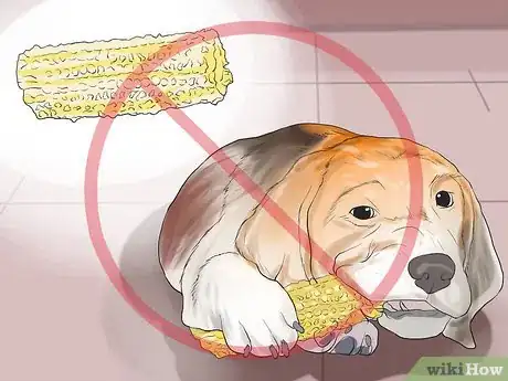 Image titled Avoid Foods Dangerous for Your Dog Step 10