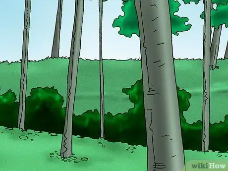 Image titled Grow Deadly Monkshood Step 1