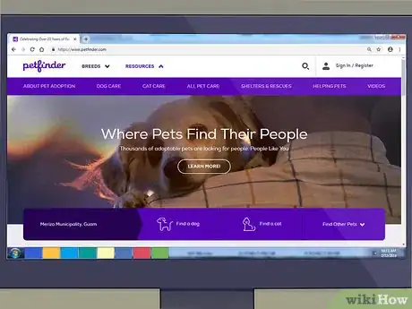 Image titled Raise Angora Cats Step 2