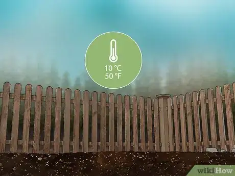 Image titled Grow Indigo Step 8