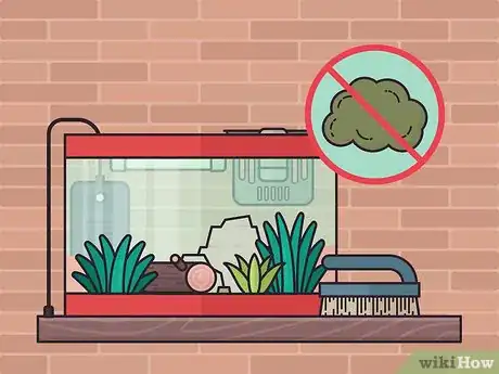 Image titled Set Up a Plant‐Only Aquarium Step 12