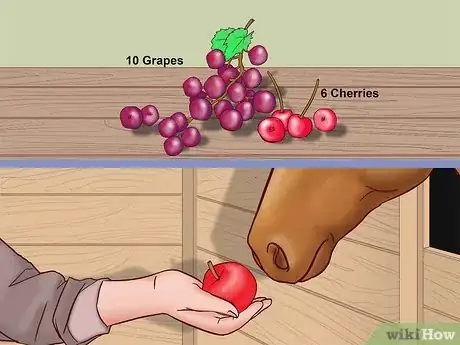 Image titled Find Safe Vegetables and Fruit for Horses Step 14
