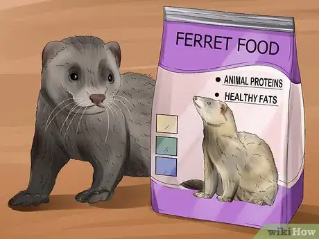 Image titled Care for a Ferret Step 6