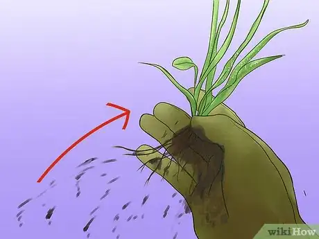 Image titled Pull Weeds Step 11