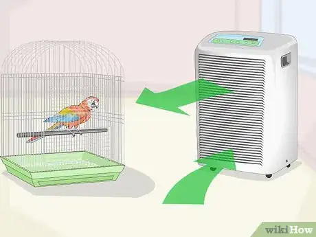 Image titled Treat Allergies in Macaws Step 2