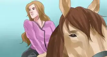 Prepare for a Horse Show