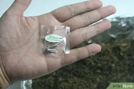 Image titled Use Aluminum Foil for Gardening Step 19