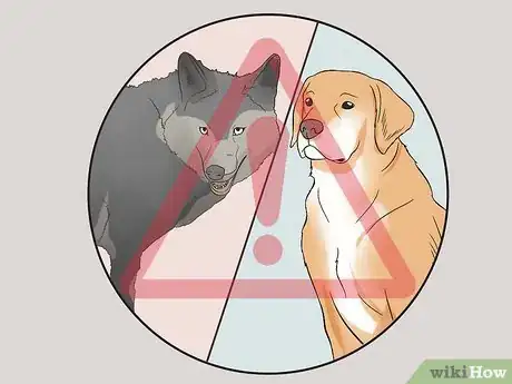 Image titled Keep a Cat Safe Step 9