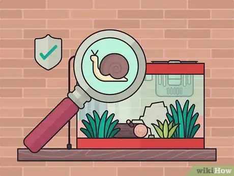 Image titled Set Up a Plant‐Only Aquarium Step 14