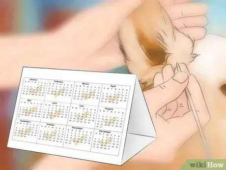 Image titled Prevent Canine Ear Mites Step 1