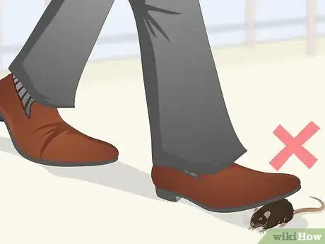 Image titled Safely Let a Mouse Out of Its Cage Step 5