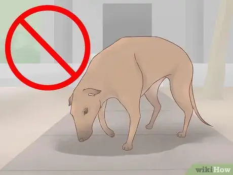 Image titled Become Friends with an Unfriendly Dog Step 9